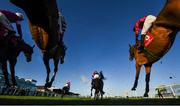 17 November 2019; Runners and riders clear the last on their first time round during the Liam & Valerie Brennan Memorial Florida Pearl Novice Steeplechase at Punchestown Racecourse in Naas, Kildare. Photo by David Fitzgerald/Sportsfile