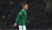 16 November 2019; Steven Davis of Northern Ireland during the UEFA EURO2020 Qualifier - Group C match between Northern Ireland and Netherlands at the National Football Stadium at Windsor Park in Belfast. Photo by David Fitzgerald/Sportsfile