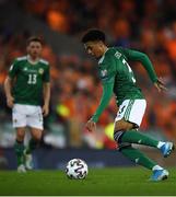 16 November 2019; Jamal Lewis of Northern Ireland during the UEFA EURO2020 Qualifier - Group C match between Northern Ireland and Netherlands at the National Football Stadium at Windsor Park in Belfast. Photo by David Fitzgerald/Sportsfile