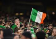 18 November 2019; Republic of Ireland supporter during the UEFA EURO2020 Qualifier match between Republic of Ireland and Denmark at the Aviva Stadium in Dublin. Photo by Seb Daly/Sportsfile