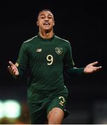 19 November 2019; Adam Idah of Republic of Ireland celebrates after scoring his side's second goal during the UEFA European U21 Championship Qualifier match between Republic of Ireland and Sweden at Tallaght Stadium in Tallaght, Dublin. Photo by Stephen McCarthy/Sportsfile