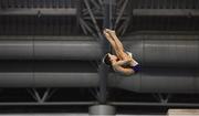 21 November 2019; Rayne Hamilton of Edinburgh Diving Club competing in the men's junior and senior platform preliminary's 2019 Irish Open Diving Championships at the National Aquatic Centre in Abbotstown, Dublin. Photo by Eóin Noonan/Sportsfile