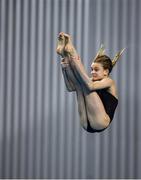 21 November 2019; Ellen Gillespie of Edinburgh diving club competing in the womens 3 meter preliminary during the 2019 Irish Open Diving Championships at the National Aquatic Centre in Abbotstown, Dublin. Photo by Eóin Noonan/Sportsfile
