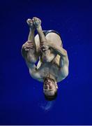 22 November 2019; Oliver Dingley of National Centre Dublin competing in the men's junior and senior 3 meter preliminary's during the 2019 Irish Open Diving Championships at the National Aquatic Centre in Abbotstown, Dublin. Photo by Eóin Noonan/Sportsfile