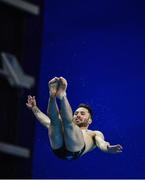 22 November 2019; Oliver Dingley of National Centre Dublin competing in the men's junior and senior 3 meter preliminary's during the 2019 Irish Open Diving Championships at the National Aquatic Centre in Abbotstown, Dublin. Photo by Eóin Noonan/Sportsfile