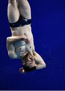 22 November 2019; Oliver Dingley of National Centre Dublin competing in the men's junior and senior 3 meter preliminary's during the 2019 Irish Open Diving Championships at the National Aquatic Centre in Abbotstown, Dublin. Photo by Eóin Noonan/Sportsfile