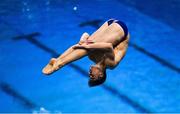 22 November 2019; Danny Mabbott of Edinburgh Diving Club competing in the men's junior and senior 3 meter preliminary's during the 2019 Irish Open Diving Championships at the National Aquatic Centre in Abbotstown, Dublin. Photo by Eóin Noonan/Sportsfile