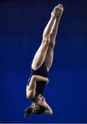 22 November 2019; Chloe Sinclair of Edinburgh diving club competing in the Women's and senior platform preliminary's during the 2019 Irish Open Diving Championships at the National Aquatic Centre in Abbotstown, Dublin. Photo by Eóin Noonan/Sportsfile