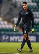 19 November 2019; Gavin Bazunu of Republic of Ireland during the UEFA European U21 Championship Qualifier match between Republic of Ireland and Sweden at Tallaght Stadium in Tallaght, Dublin. Photo by Eóin Noonan/Sportsfile