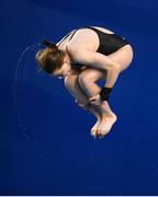 24 November 2019; Tanya Watson of Southampton Diving Academy competing in the Women's platform final at the 2019 Irish Open Diving Championships at the National Aquatic Centre in Abbotstown, Dublin. Photo by Ramsey Cardy/Sportsfile