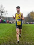 24 November 2019; Darragh McElhinney of U.C.D. A.C., Co. Dublin, celebrates on his way to winning the Junior Men's event during the Irish Life Health National Senior, Junior & Juvenile Even Age Cross Country Championships at the National Sports Campus Abbotstown in Dublin. Photo by Sam Barnes/Sportsfile