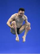 24 November 2019; Oliver Dingley of National Centre Dublin competing in the Mens 3m final at the 2019 Irish Open Diving Championships at the National Aquatic Centre in Abbotstown, Dublin. Photo by Ramsey Cardy/Sportsfile