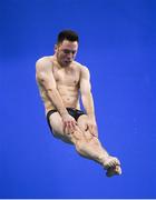 24 November 2019; Oliver Dingley of National Centre Dublin competing in the Mens 3m final at the 2019 Irish Open Diving Championships at the National Aquatic Centre in Abbotstown, Dublin. Photo by Ramsey Cardy/Sportsfile