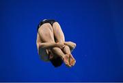 24 November 2019; Oliver Dingley of National Centre Dublin competing in the Mens 3m final at the 2019 Irish Open Diving Championships at the National Aquatic Centre in Abbotstown, Dublin. Photo by Ramsey Cardy/Sportsfile