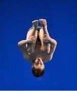 24 November 2019; Ben Sharman of Edinburgh Diving Club competing in the Mens 3m final at the 2019 Irish Open Diving Championships at the National Aquatic Centre in Abbotstown, Dublin. Photo by Ramsey Cardy/Sportsfile