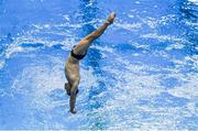 24 November 2019; Oliver Dingley of National Centre Dublin competing in the Mens 3m final at the 2019 Irish Open Diving Championships at the National Aquatic Centre in Abbotstown, Dublin. Photo by Ramsey Cardy/Sportsfile