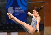 24 November 2019; Clare Cryan of National Centre Dublin competing in the Women's platform final at the 2019 Irish Open Diving Championships at the National Aquatic Centre in Abbotstown, Dublin. Photo by Ramsey Cardy/Sportsfile