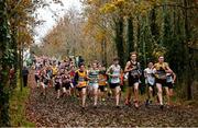 24 November 2019; A general view of the field competing in the U14 Boys event during the Irish Life Health National Senior, Junior & Juvenile Even Age Cross Country Championships at the National Sports Campus Abbotstown in Dublin. Photo by Sam Barnes/Sportsfile