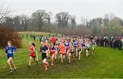24 November 2019; Runners competing in the U12 Girls Event during the Irish Life Health National Senior, Junior & Juvenile Even Age Cross Country Championships at the National Sports Campus Abbotstown in Dublin. Photo by Sam Barnes/Sportsfile