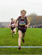 24 November 2019; Will Craig of St. Michael's A.C. competing in the U12 Boy's event during the Irish Life Health National Senior, Junior & Juvenile Even Age Cross Country Championships at the National Sports Campus Abbotstown in Dublin. Photo by Sam Barnes/Sportsfile