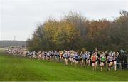 24 November 2019;  Runners competing in the U16 Girls event during the Irish Life Health National Senior, Junior & Juvenile Even Age Cross Country Championships at the National Sports Campus Abbotstown in Dublin. Photo by Sam Barnes/Sportsfile