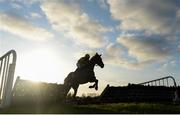 30 November 2019; Nobody Home, with Phillip Enright up, jumps the last during the Fairyhouse 2020 Membership Handicap Hurdle on Day One of the Fairyhouse Winter Festival at Fairyhouse Racecourse in Ratoath, Meath. Photo by Harry Murphy/Sportsfile
