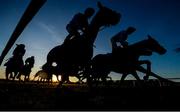 1 December 2019; Runners and riders during the Royalhousedraw.com (Pro/Am) Flat Race on Day 2 of the Fairyhouse Winter Festival at Fairyhouse Racecourse in Meath. Photo by Harry Murphy/Sportsfile