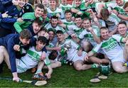 1 December 2019; Ballyhale players celebrate with the cup after the AIB Leinster GAA Hurling Senior Club Championship Final match between Ballyhale Shamrocks and St Mullin's at MW Hire O'Moore Park in Portlaoise, Co Laois. Photo by Piaras Ó Mídheach/Sportsfile