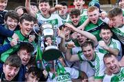 1 December 2019; Ballyhale Shamrocks players celebrate with the cup after the AIB Leinster GAA Hurling Senior Club Championship Final match between Ballyhale Shamrocks and St Mullin's at MW Hire O'Moore Park in Portlaoise, Co Laois. Photo by Piaras Ó Mídheach/Sportsfile