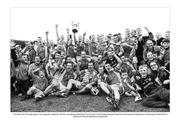 13 October 2013; Passage players and supporters celebrate with the cup following Waterford County Senior Club Hurling Championship Final match between Ballygunner and Passage at Walsh Park in Waterford. Photo by Matt Browne/Sportsfile