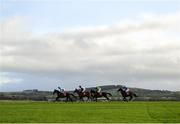 8 December 2019; A general view of the field during the W.H. Scott Lifting Supporting Wicklow GAA Rated Novice Hurdle at Punchestown Racecourse in Kildare. Photo by Harry Murphy/Sportsfile