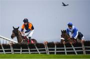 8 December 2019; Mister Eddman, with Barry Browne up, left, during the Carmel Colgan Memorial/Blackrock Insurance Supporting Kilmacud Crokes Handicap Hurdle at Punchestown Racecourse in Kildare. Photo by Harry Murphy/Sportsfile