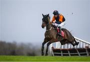 8 December 2019; Mister Eddman, with Barry Browne up, during the Carmel Colgan Memorial/Blackrock Insurance Supporting Kilmacud Crokes Handicap Hurdle at Punchestown Racecourse in Kildare. Photo by Harry Murphy/Sportsfile