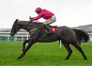 8 December 2019; Snow Falcon, with Sean Flanagan up, during the John Durkan Memorial Punchestown Steeplechase at Punchestown Racecourse in Kildare. Photo by Harry Murphy/Sportsfile