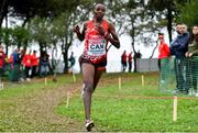 8 December 2019; Yasmin Can of Turkey competing in the Senior Women's event during the European Cross Country Championships 2019 at Bela Vista Park in Lisbon, Portugal. Photo by Sam Barnes/Sportsfile