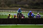 8 December 2019; Biddy The Boss, with JB Kane up, seventh during the Join The Best Club In Town Punchestown Members Handicap Steeplechase at Punchestown Racecourse in Kildare. Photo by Harry Murphy/Sportsfile