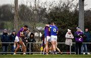 14 December 2019; Players from both teams during a coming together during the 2020 O'Byrne Cup Round 2 match between Wexford and Laois at St Patrick's Park in Enniscorthy, Wexford. Photo by Eóin Noonan/Sportsfile