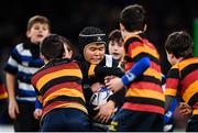 14 December 2019; Action from the Bank of Ireland Half-Time Minis between Wanderers RFC and Lansdowne RFC at the Heineken Champions Cup Pool 1 Round 4 match between Leinster and Northampton Saints at the Aviva Stadium in Dublin. Photo by Stephen McCarthy/Sportsfile