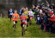 15 December 2019; Fionn Mcnamara of Annalee A.C., Co. Cavan, competing in the U13 Boy's 3500m during the Irish Life Health Novice & Juvenile Uneven XC at Cow Park in Dunboyne, Co. Meath. Photo by Harry Murphy/Sportsfile