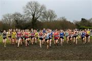 15 December 2019; A general view of the field during the U17 Girl's 4000m during the Irish Life Health Novice & Juvenile Uneven XC at Cow Park in Dunboyne, Co. Meath. Photo by Harry Murphy/Sportsfile