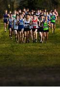 15 December 2019; A general view of the field during the U17 Boys 5000m during the Irish Life Health Novice & Juvenile Uneven XC at Cow Park in Dunboyne, Co. Meath. Photo by Harry Murphy/Sportsfile