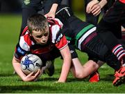 20 December 2019; Action during the Bank of Ireland Half-Time Minis between Carlingford Knights and De La Salle Palmerstown at the Guinness PRO14 Round 8 match between Leinster and Ulster at the RDS Arena in Dublin. Photo by Harry Murphy/Sportsfile