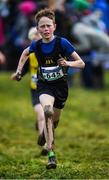 15 December 2019; Alex Plumb of Letterkenny A.C., Co. Donegal, competing in the U13 Boy's 3500m during the Irish Life Health Novice & Juvenile Uneven XC at Cow Park in Dunboyne, Co. Meath. Photo by Harry Murphy/Sportsfile
