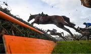 27 December 2019; A jockeyless horse jumps the last during the Paddy Power Steeplechase during Day Two of the Leopardstown Christmas Festival 2019 at Leopardstown Racecourse in Dublin. Photo by David Fitzgerald/Sportsfile
