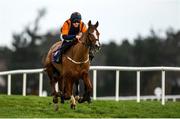 29 December 2019; Best Behavior, with Barry Brown up, on their way to winning the Adare Manor Opportunity Handicap Steeplechase during Day Four of the Leopardstown Christmas Festival 2019 at Leopardstown Racecourse in Dublin. Photo by Harry Murphy/Sportsfile