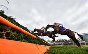 29 December 2019; Brex Drago, with Conor McNamara up, right, and Mindsmadeup, with Adam Short up, jump the last on their first time round during the Tote Supporting Leopardstown Maiden Hurdle during Day Four of the Leopardstown Christmas Festival 2019 at Leopardstown Racecourse in Dublin. Photo by David Fitzgerald/Sportsfile