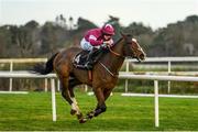 29 December 2019; Cobbler's Way, with Rachael Blackmore up, on their way to winning the Pigsback.com Maiden Hurdle during Day Four of the Leopardstown Christmas Festival 2019 at Leopardstown Racecourse in Dublin. Photo by Harry Murphy/Sportsfile