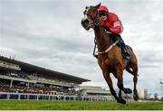 29 December 2019; Stormy Ireland, with Paul Townend up, on their way to winning the Advent Insurance Irish EBF Mares Hurdle during Day Four of the Leopardstown Christmas Festival 2019 at Leopardstown Racecourse in Dublin. Photo by Harry Murphy/Sportsfile