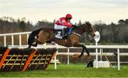 29 December 2019; Stormy Ireland, with Paul Townend up, clear the last on their way to winning the Advent Insurance Irish EBF Mares Hurdle during Day Four of the Leopardstown Christmas Festival 2019 at Leopardstown Racecourse in Dublin. Photo by David Fitzgerald/Sportsfile