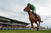 29 December 2019; My Sister Sarah, with Danny Mullins up, during the Advent Insurance Irish EBF Mares Hurdle during Day Four of the Leopardstown Christmas Festival 2019 at Leopardstown Racecourse in Dublin. Photo by Harry Murphy/Sportsfile